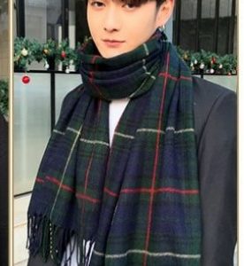 Tartan Scarf  |  Mens Scarves & Handkerchiefs Accessories Mens